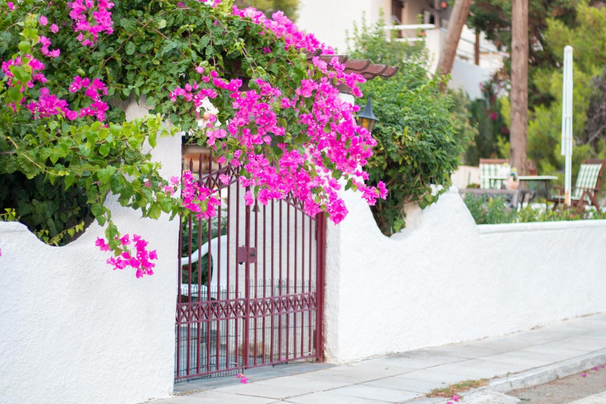 Seaview Apartment - Poros Relaxing Beachfront Flat Poros Town المظهر الخارجي الصورة